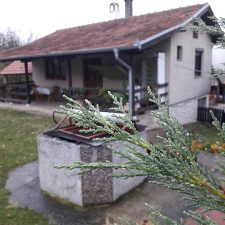 Galerija Jovanovic Topola Buitenkant foto